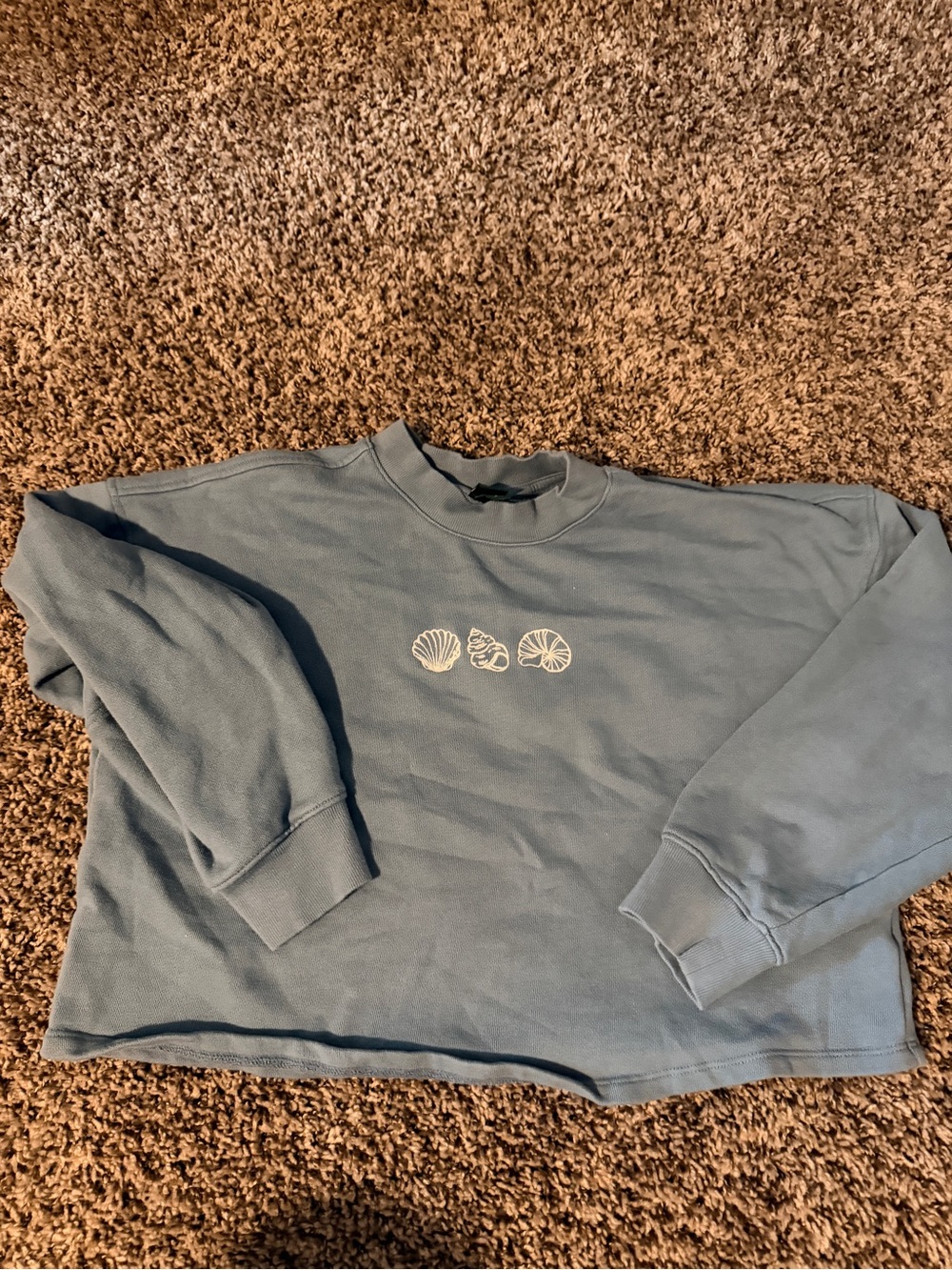 wild fable Powder Blue Sweatshirt with embroidered White Shells